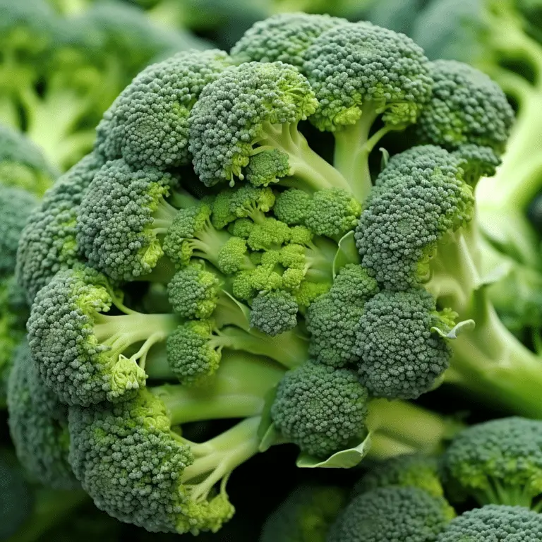 Broccoli Brilliance